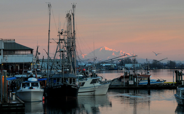 20200828_15986388528348.png image.png