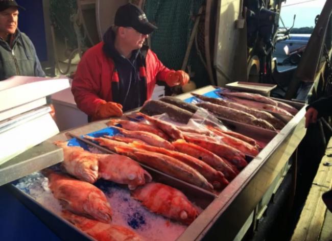 20200828_15986389054582.png image.png