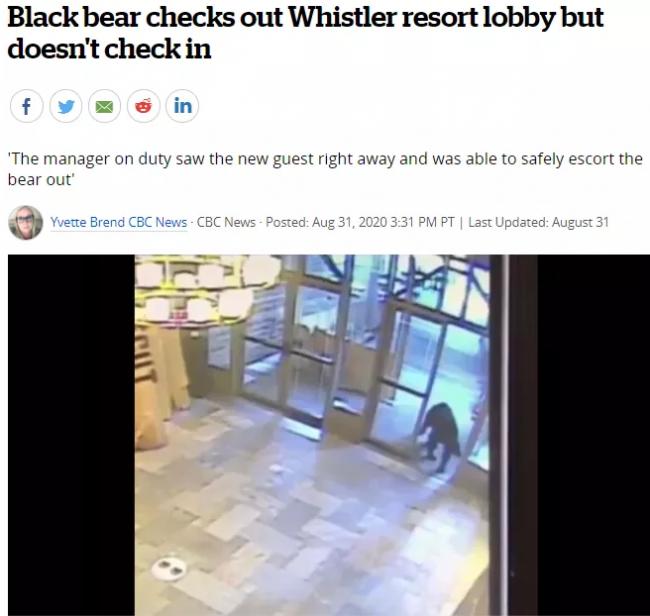 20200901_15989967474233.png image.png