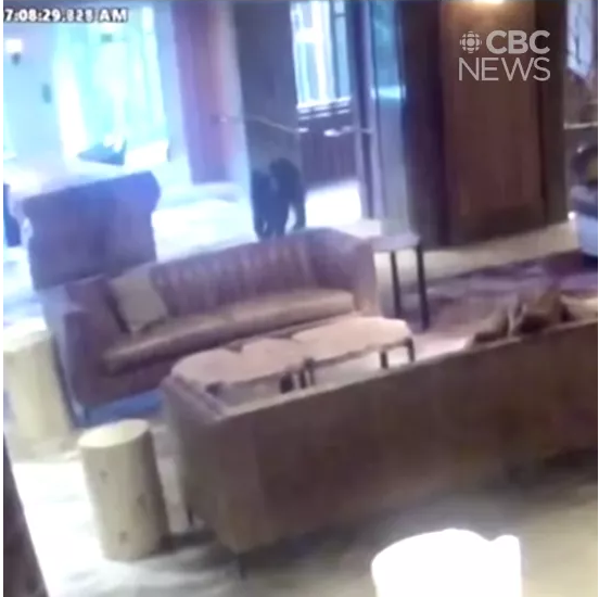 20200901_15989967641030.png image.png