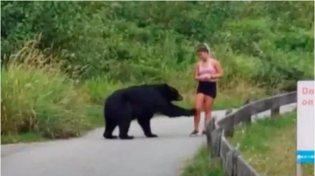 20200901_15989967824347.png image.png