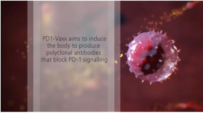 20201124_16062652701671.png image.png