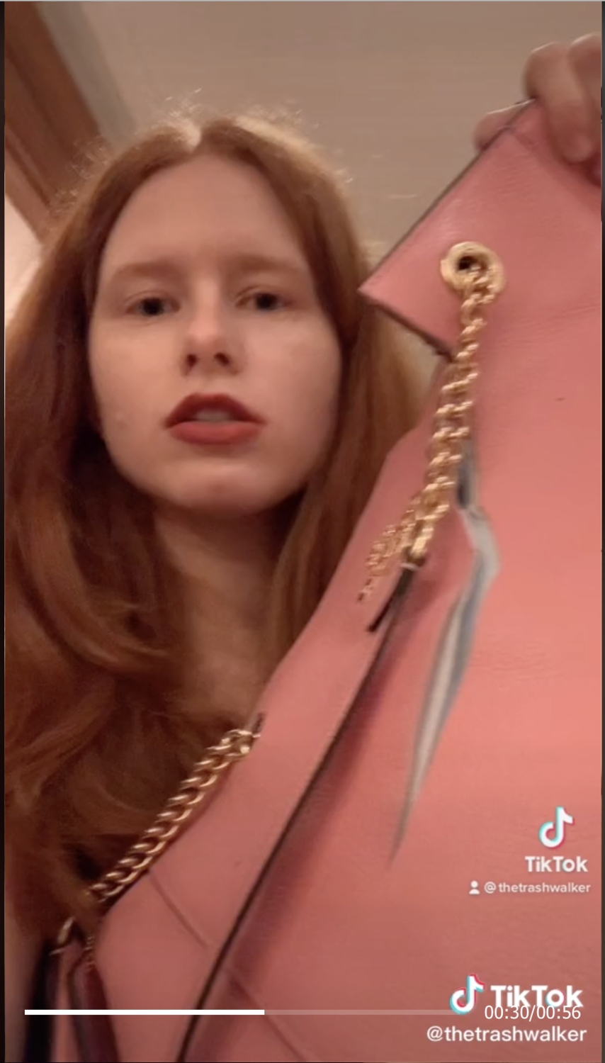圖:擷取自@thetrashwalker TikTok 圖:擷取自@thetrashwalker TikTok