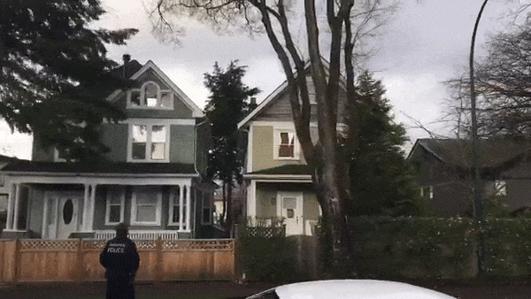 20211014_16342356521946.gif 640.gif