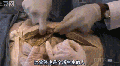 20211105_16361460971429.gif WeChat Image_20211105140127.gif