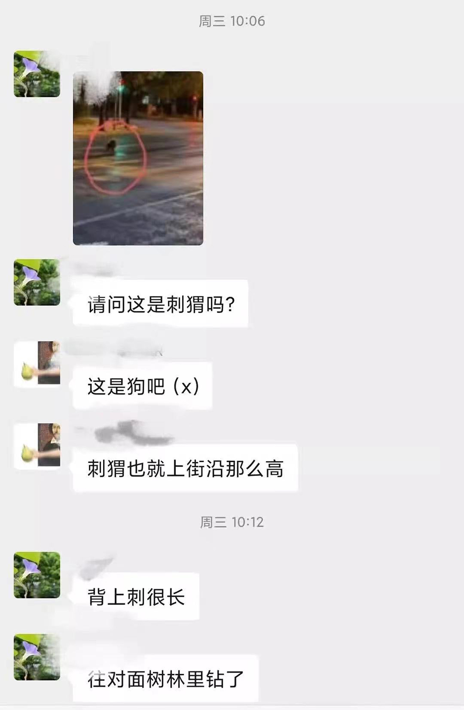 野生动植物爱好者群聊天记录