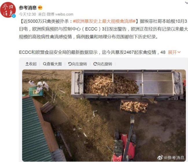最大规模禽流感:鸡肉鸡蛋恐飙价!已现禽传人 最大规模禽流感:鸡肉鸡蛋恐飙价!已现禽传人
