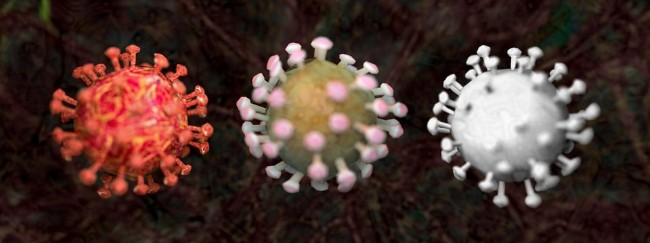 好消息!刚刚!加拿大卫生部批准辉瑞新的二价COVID-19疫苗! 好消息!刚刚!加拿大卫生部批准辉瑞新的二价COVID-19疫苗!