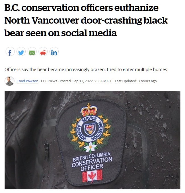 当心!冬眠季即将到来,BC黑熊作妖!闯进大温居民家把冰箱翻遍了… 当心!冬眠季即将到来,BC黑熊作妖!闯进大温居民家把冰箱翻遍了…