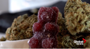 竟有一半BC人认为世上真有鬼!谨防孩子收大麻糖 竟有一半BC人认为世上真有鬼!谨防孩子收大麻糖