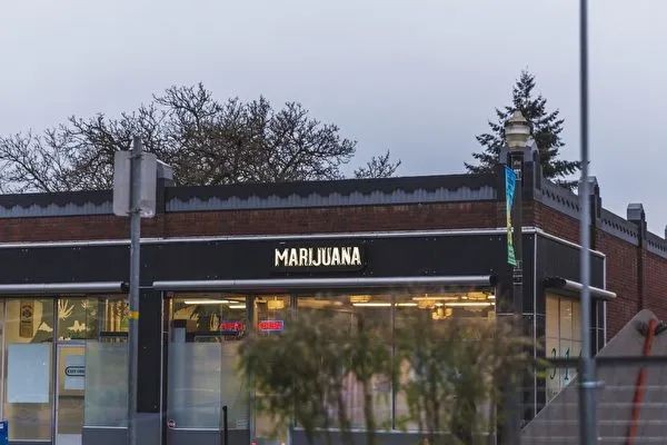 加拿大人投资大麻已亏10亿 这都能亏钱? 加拿大人投资大麻已亏10亿 这都能亏钱?