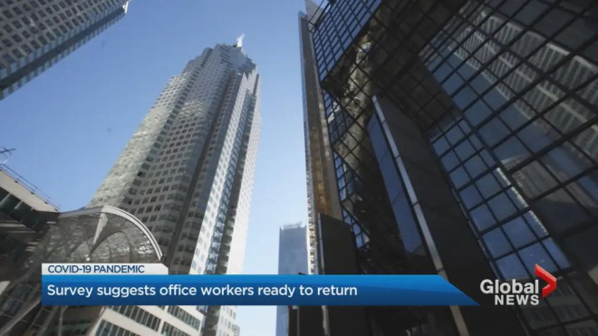 64% of downtown Toronto employees say they're comfortable returning to the  office: survey | Globalnews.ca