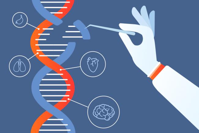 科学算命?!全球首个人工优选基因的“完美婴儿”2岁了!没病没灾能赚钱… 科学算命?!全球首个人工优选基因的“完美婴儿”2岁了!没病没灾能赚钱…