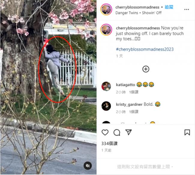 大温华裔博主开贴曝光家门口的奇葩赏樱人!这条行为几乎所有人都中了 大温华裔博主开贴曝光家门口的奇葩赏樱人!这条行为几乎所有人都中了