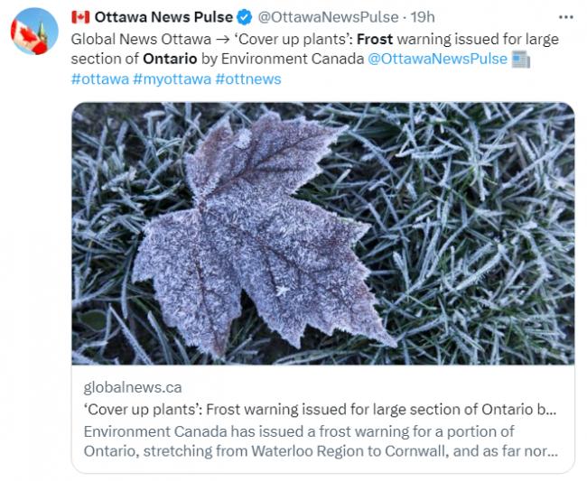 气温暴跌至-3&deg;C！多伦多急发霜冻警报
