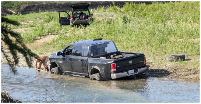 Nude man spotted trying to dig a truck out of a Calgary river