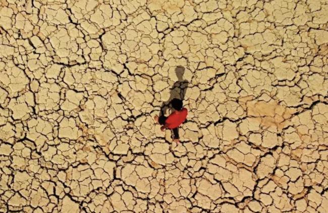 体感直飙42°C,加拿大高温爆表,全国一片红!BC颁布禁令,违者坐牢 体感直飙42°C,加拿大高温爆表,全国一片红!BC颁布禁令,违者坐牢