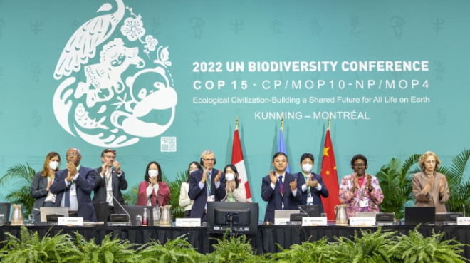 UN Biodiversity Conference (COP 15)