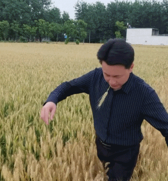 突发,千万顶流账号被封 突发,千万顶流账号被封