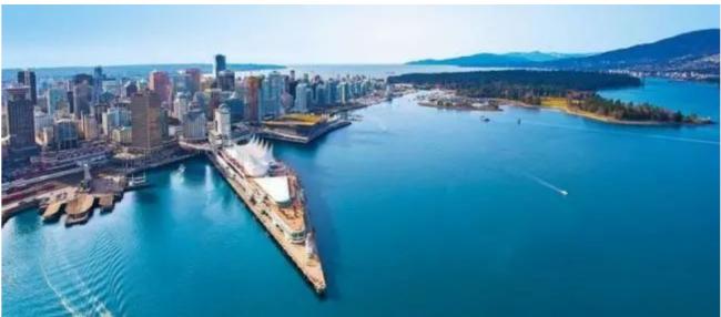 前华人首富认罪,最高可判18个月 美司法部发声 前华人首富认罪,最高可判18个月 美司法部发声