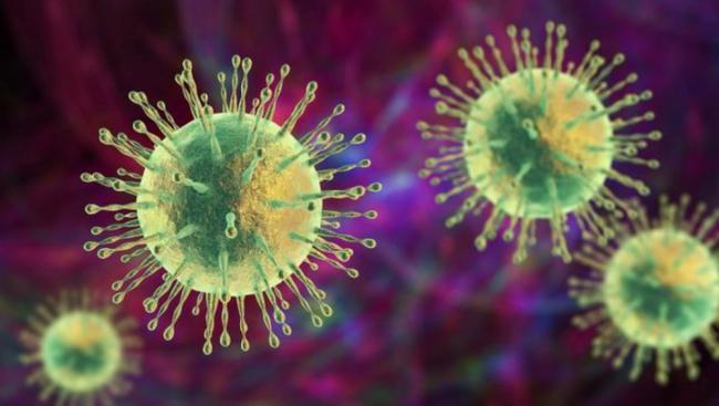 JN.1变种来了 美国每周上千新冠死 加拿大也&hellip;