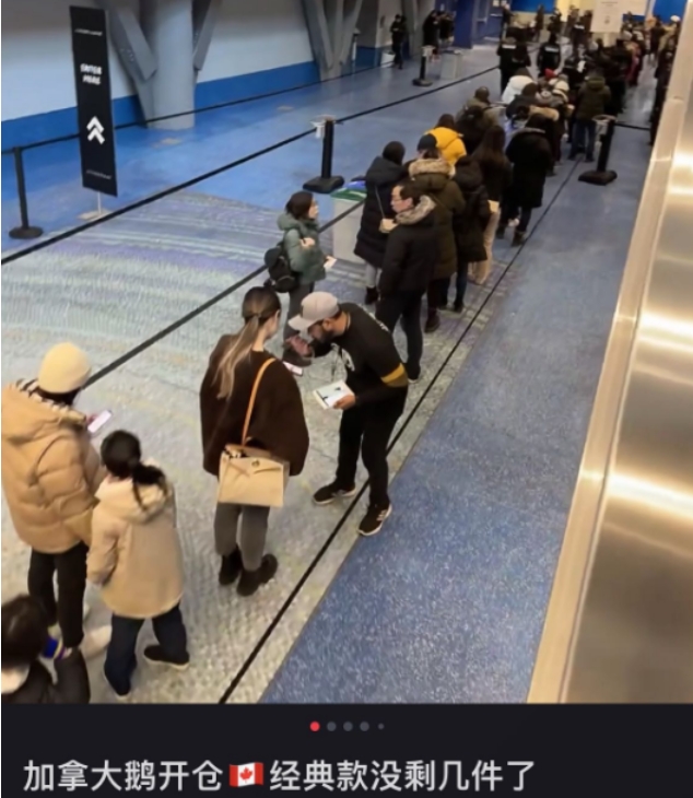 仍要涨价 加拿大鹅“欣欣向荣”全靠中国市场 仍要涨价 加拿大鹅“欣欣向荣”全靠中国市场