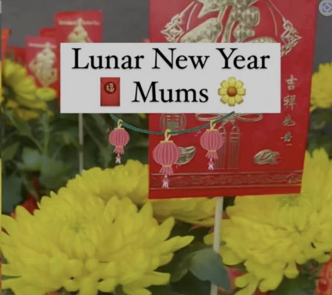 骨灰盒茶叶&hellip;Costco推出春节产品把华人吓个半死