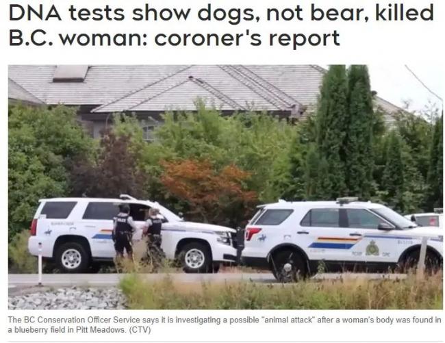 悲剧!大温华裔女子蓝莓园惨死 悲剧!大温华裔女子蓝莓园惨死