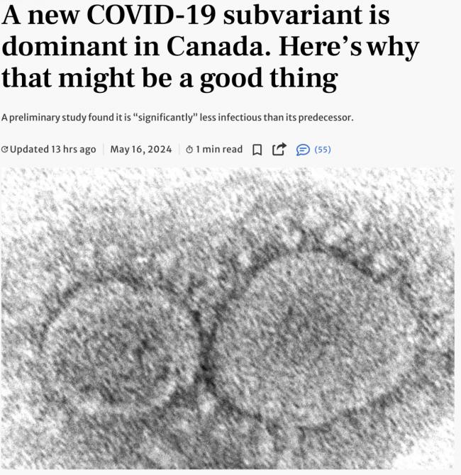惊爆！今夏两大病毒肆虐加拿大 传播力更强了