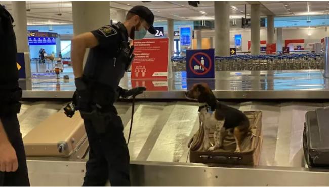 嚣张:华人大叔大闹海关!脏话狂飙、吐痰、要抽烟&hellip;