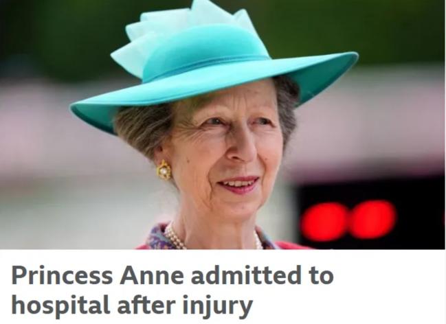 安妮公主也倒下 安妮公主也倒下