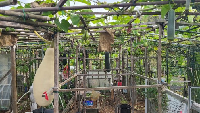 0627693C-27FD-40A9-A146-EFFBA9FCEE80 图片