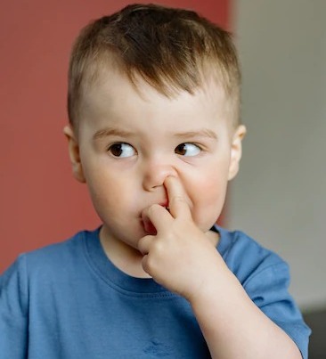 频密挖鼻孔可令到患失智症风险大增。网图 频密挖鼻孔可令到患失智症风险大增。网图