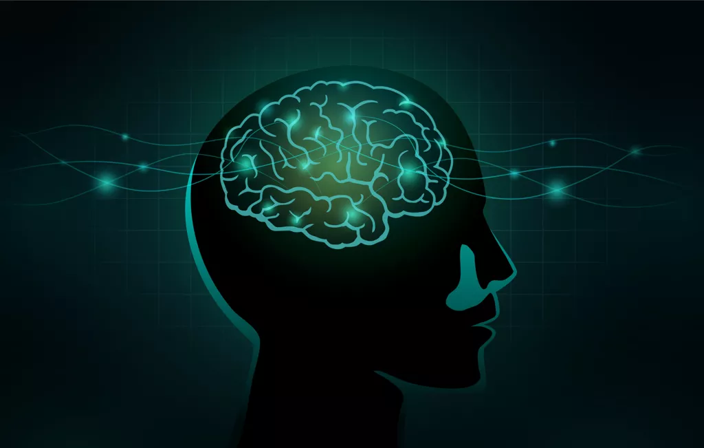 大脑或是1台量子电脑 最新研究或揭开人类意识之谜