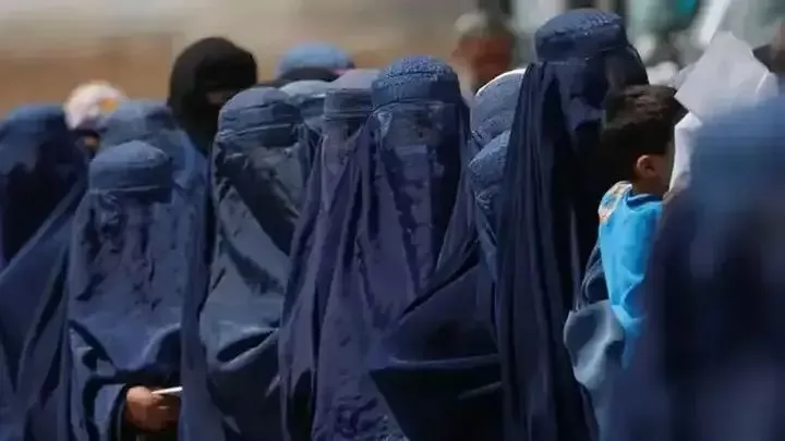 这个世界比你想象的还草台班子