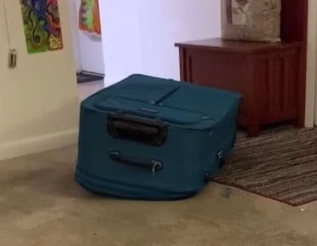 美婦涉將男友鎖在手提箱令他窒息亡 臨開審她還向法庭提奇怪要求...... 图片