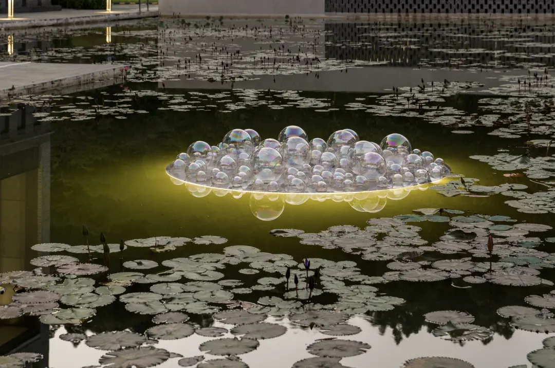 &ldquo;追气&rdquo;系列 香港中文大学深圳校区