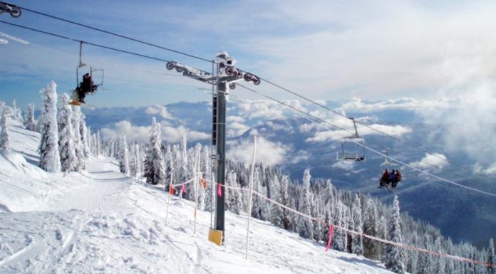 2025-03-09 141259 图片