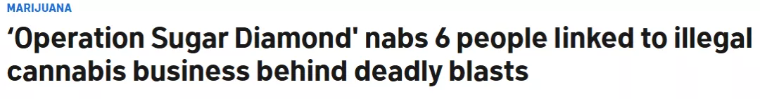 LA华人大麻油案:多名华人死亡 涉案上亿 或判死刑…