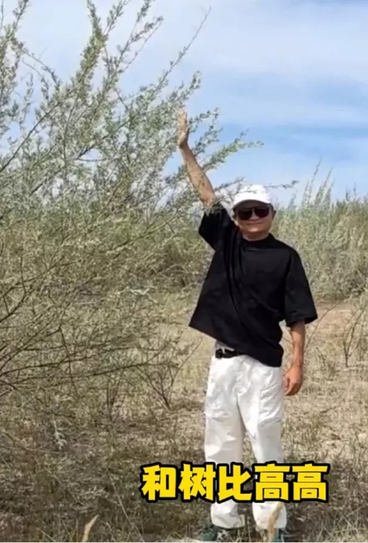 马云现身蚂蚁森林：替大家看看树长得怎么样了