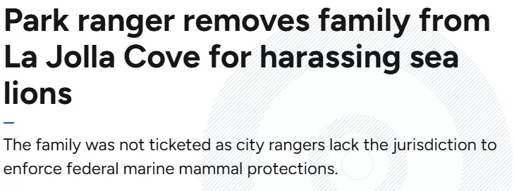 加州:中国家庭孩童朝海狮丢沙石 全家被驱离海滩