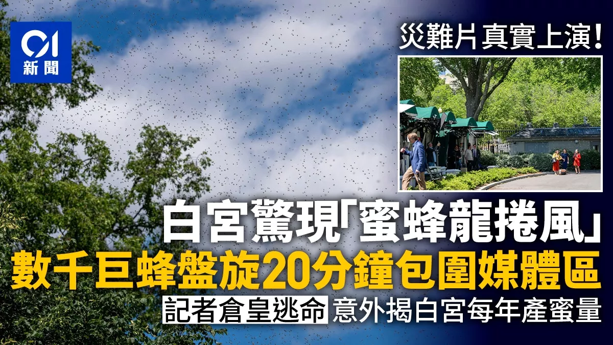 惊人！&ldquo;蜜蜂龙卷风&rdquo;袭白宫 记者仓皇逃命