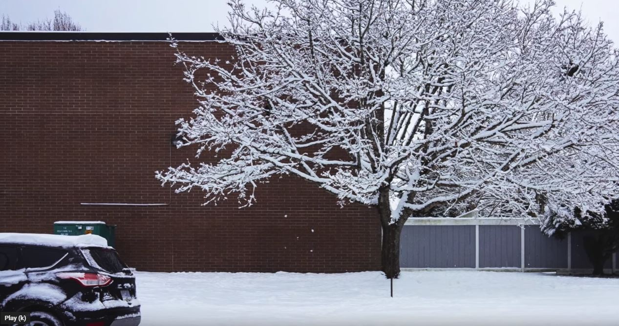 扫雪！温哥华二月大雪纷飞～好看的雪景照片放送～除雪工作说明～