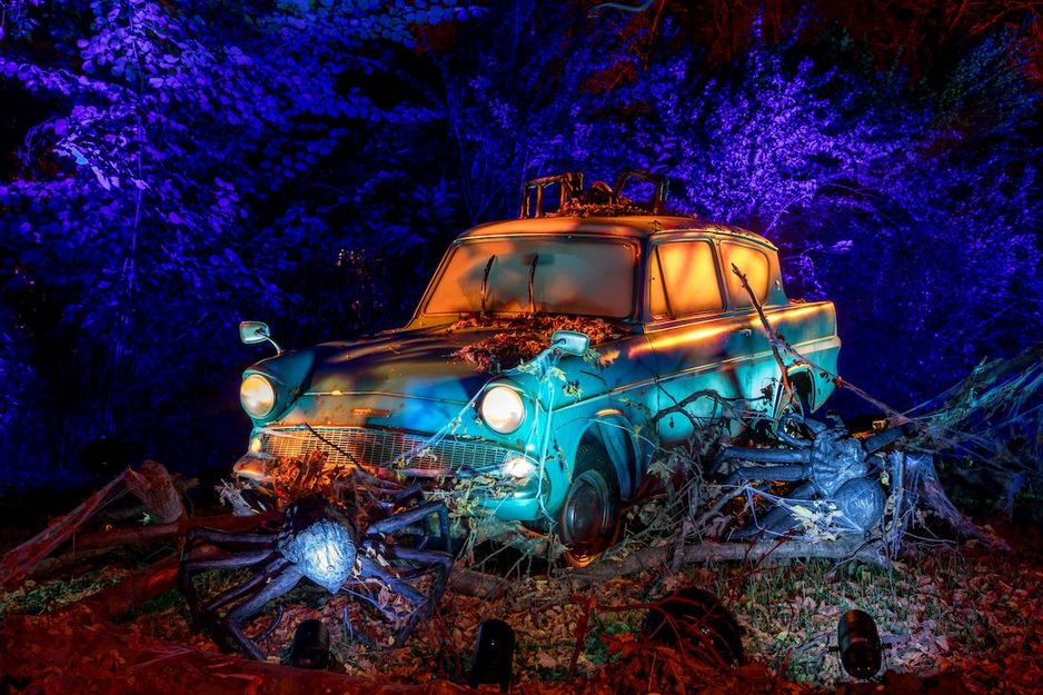 哈利&middot;波特禁忌森林体验