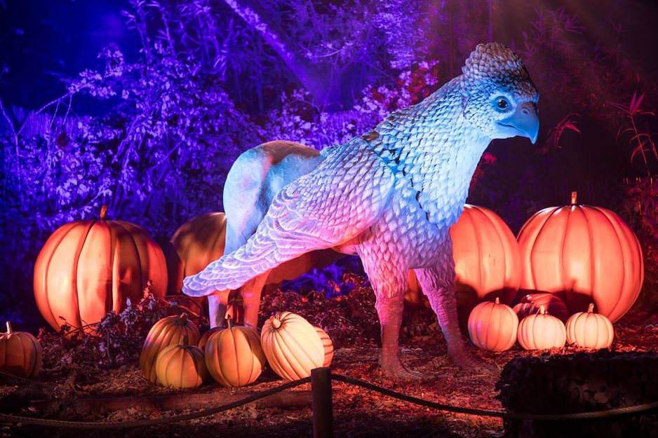 哈利&middot;波特禁忌森林体验