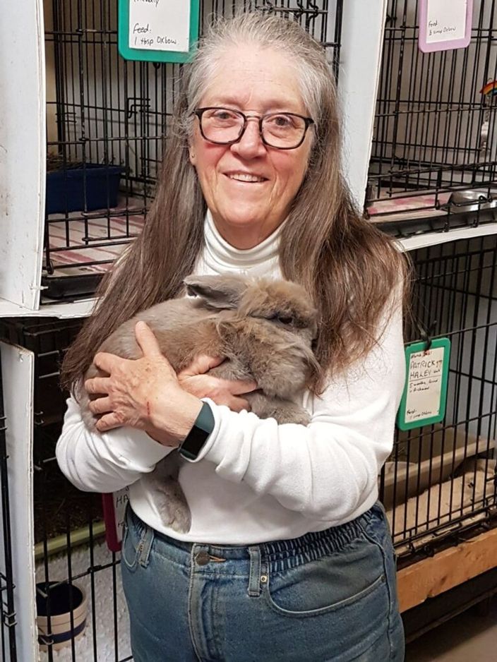 温哥华兔子救助