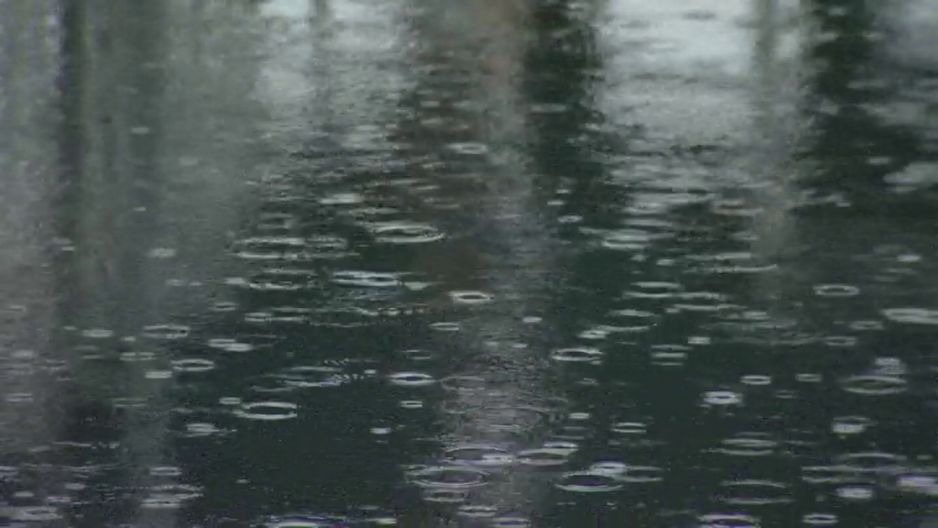 2025年10月23日,温哥华出现大雨。 (CityNews 图片)