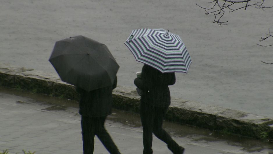 2025年2月23日,温哥华降雨情况。(CityNews图片)