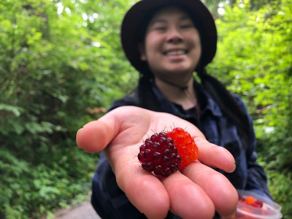 加拿大小姐的杂货