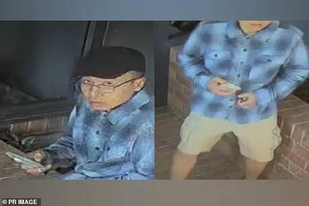 监控录像显示，这名33岁的男子在离开公园后登上了飞往中国的飞机。